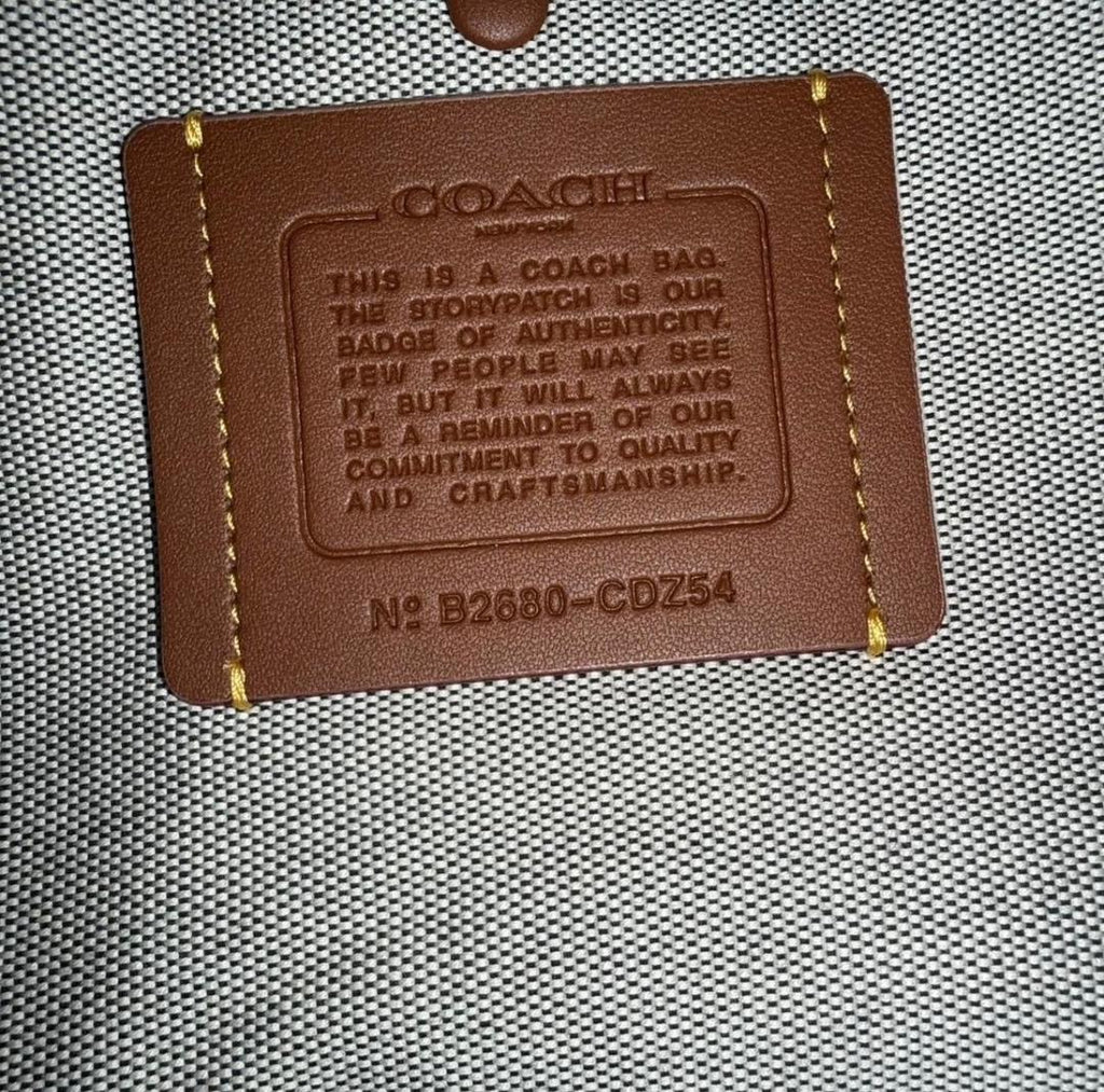 Coach Rogue handbag in Loved Leather
