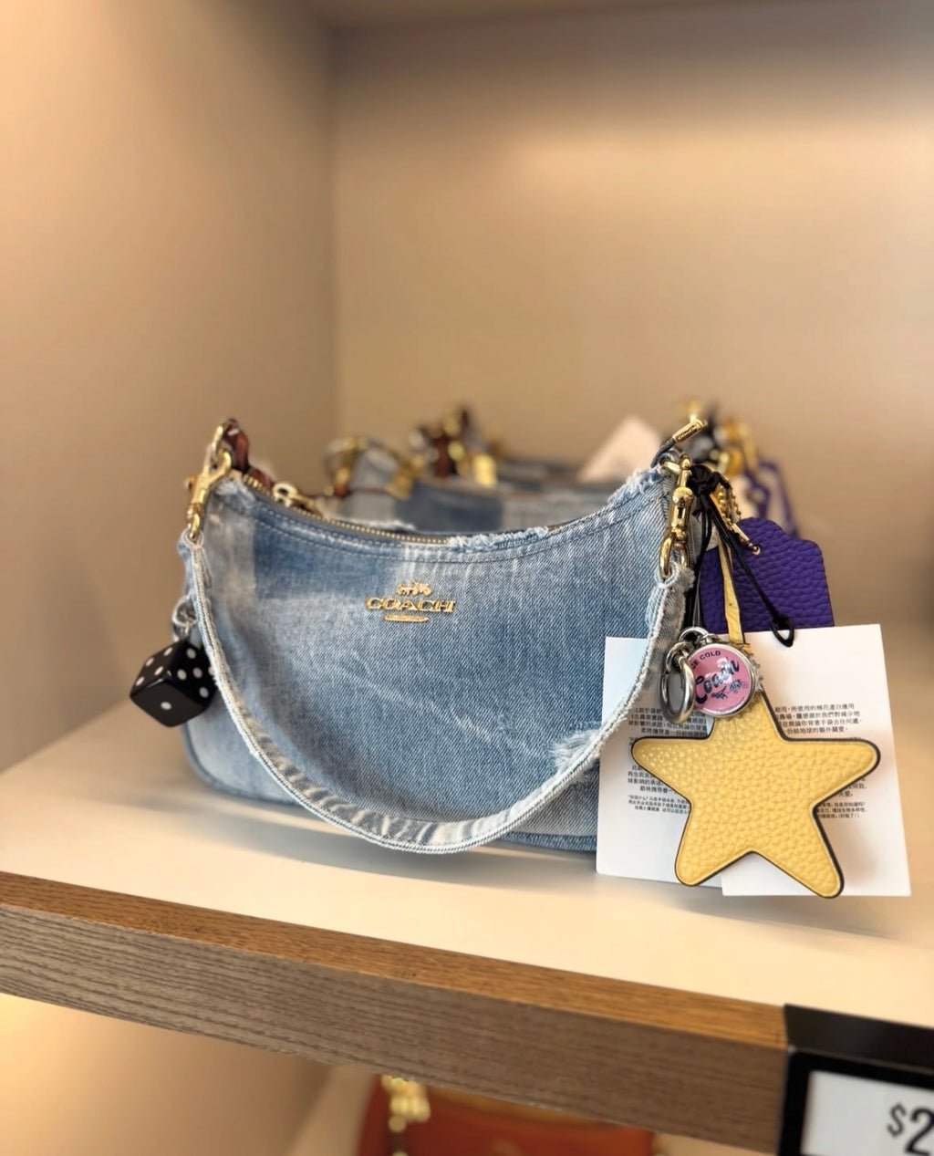 Teri Shoulder Bag In Loved Denim
